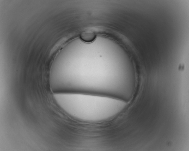 X0000114671217200910211001