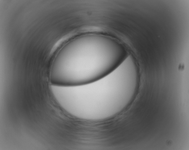 X0000114671218200910211001