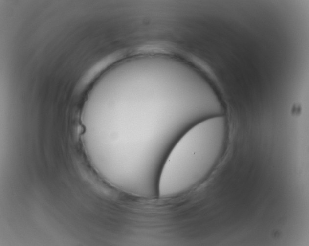 X0000114671219200910211001