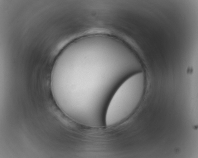 X0000114671220200910211001