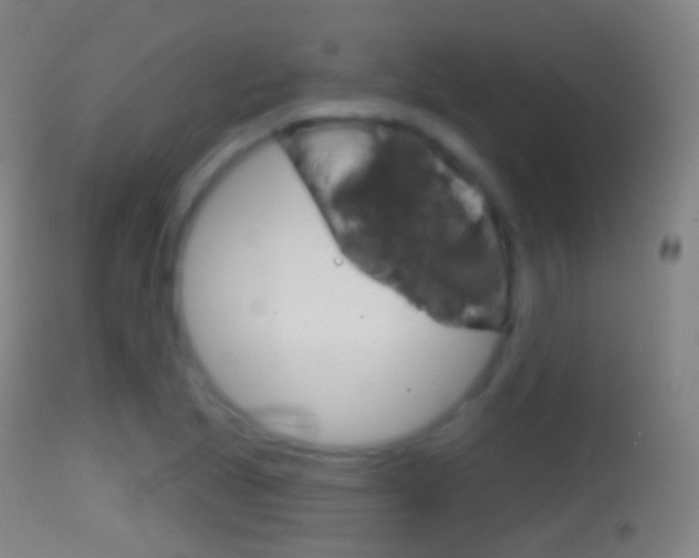 X0000114671221200910211001