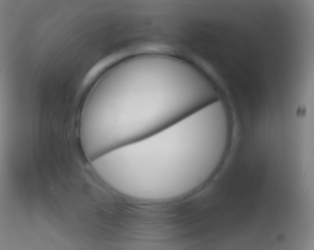 X0000114671222200910211001