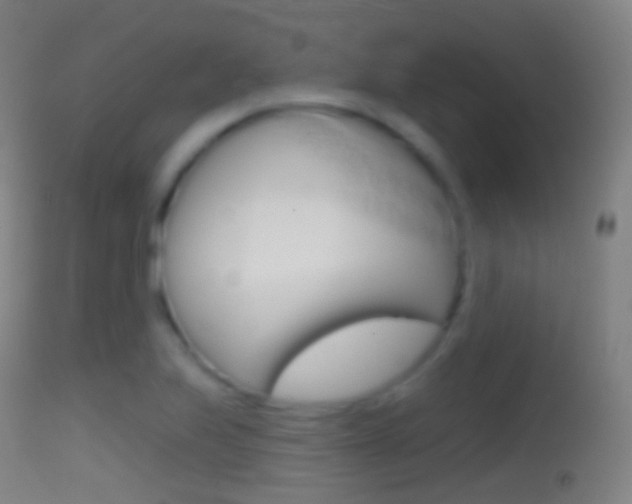 X0000114671223200910211001