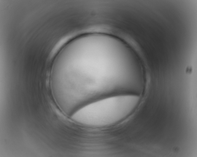 X0000114671224200910211001
