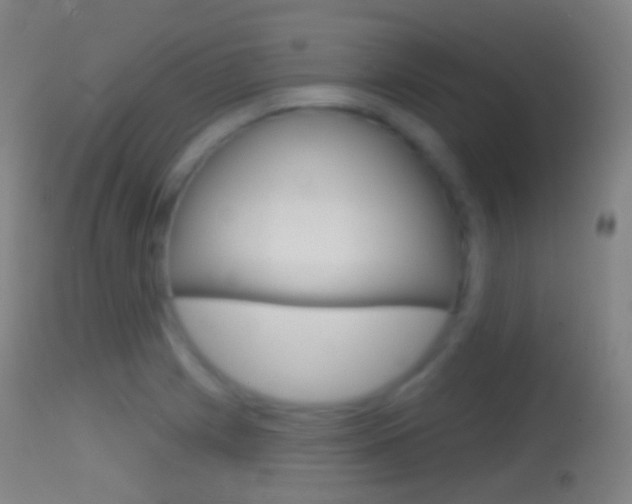 X0000114671225200910211001