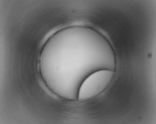 X0000114671227200910211001
