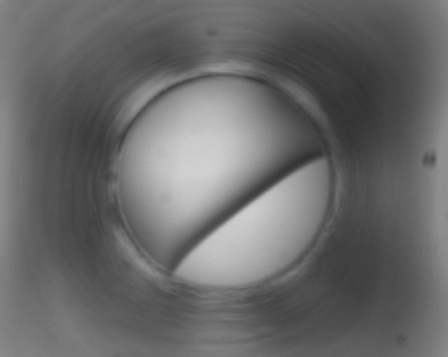 X0000114671228200910211001