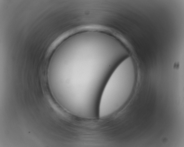 X0000114671229200910211001