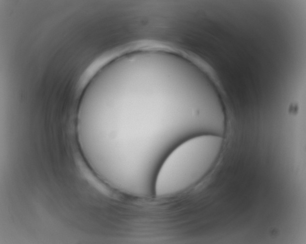 X0000114671231200910211002