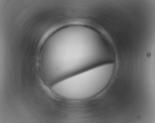 X0000114671232200910211002