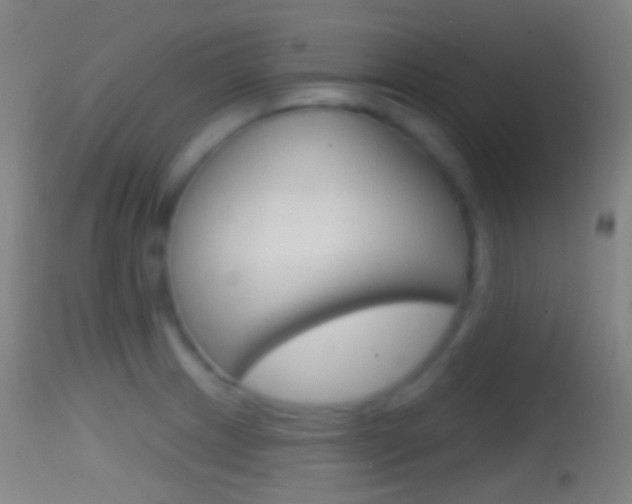 X0000114671233200910211002