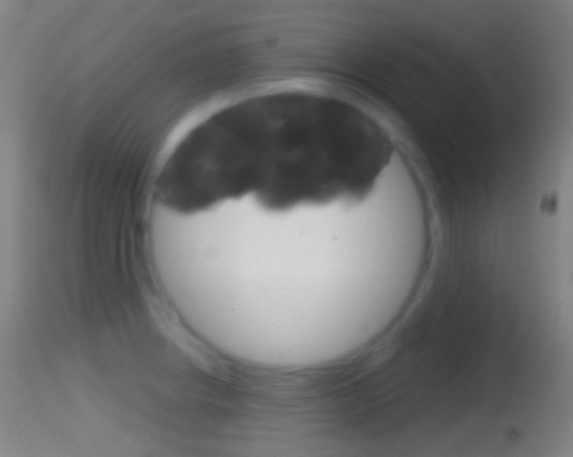 X0000114671234200910211002