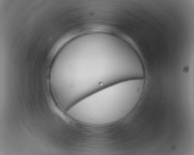 X0000114671235200910211002