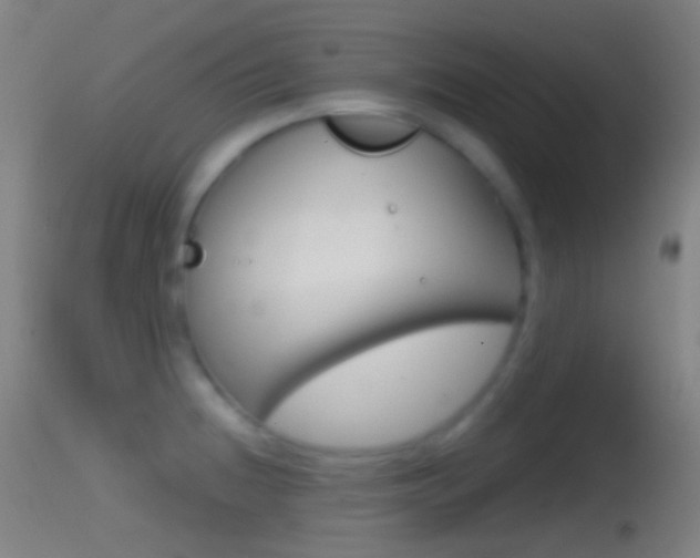 X0000114671236200910211002