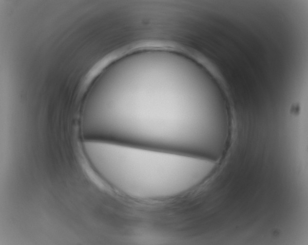 X0000114671237200910211002
