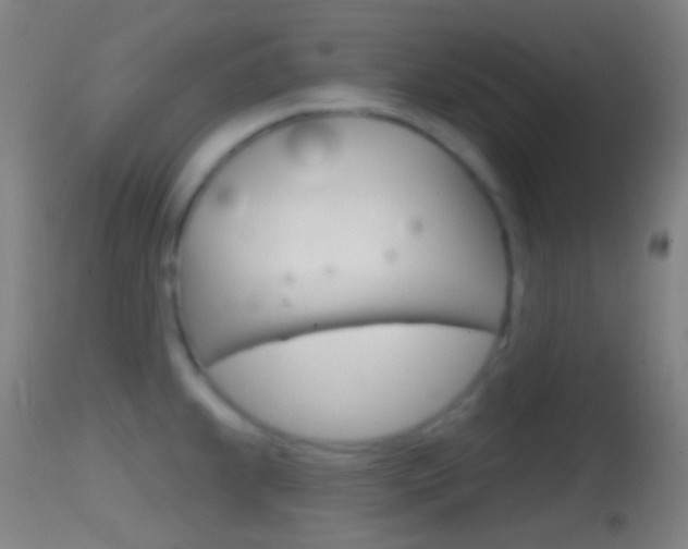 X0000114671239200910211002