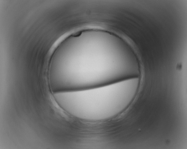 X0000114671240200910211002
