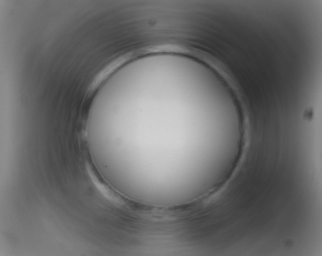 X0000114671241200910211002