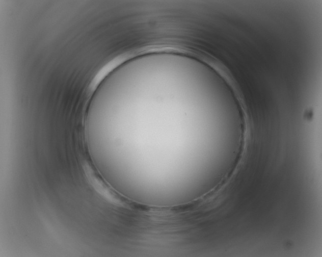 X0000114671242200910211002