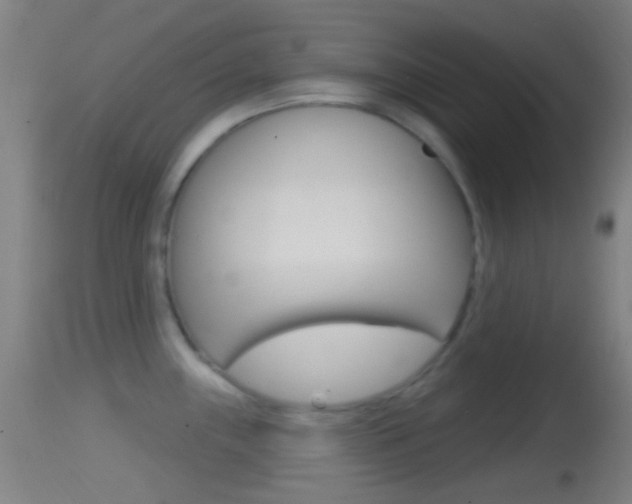 X0000114671243200910211002