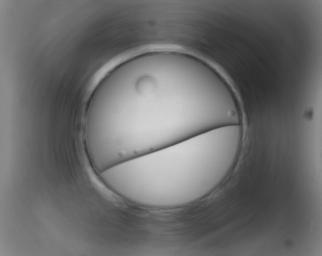 X0000114671245200910211002