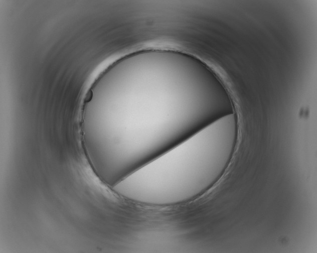 X0000114671248200910211002
