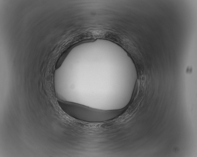 X0000114671249200910211001