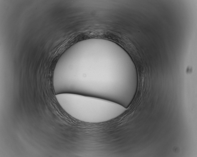 X0000114671250200910211001