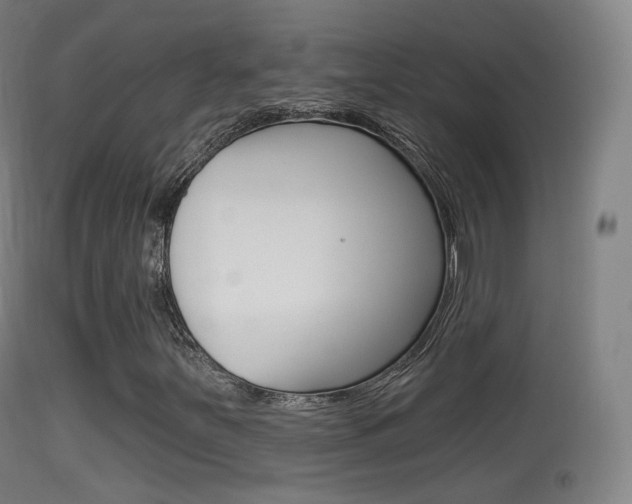 X0000114671251200910211001