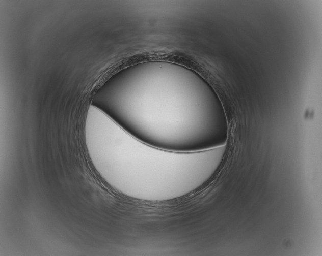 X0000114671252200910211001