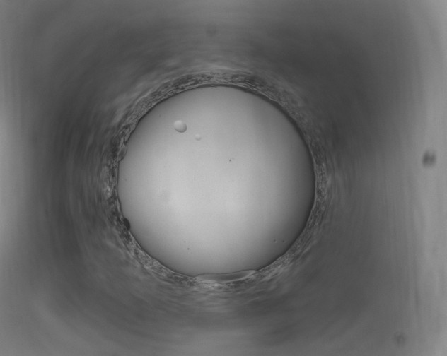 X0000114671253200910211001