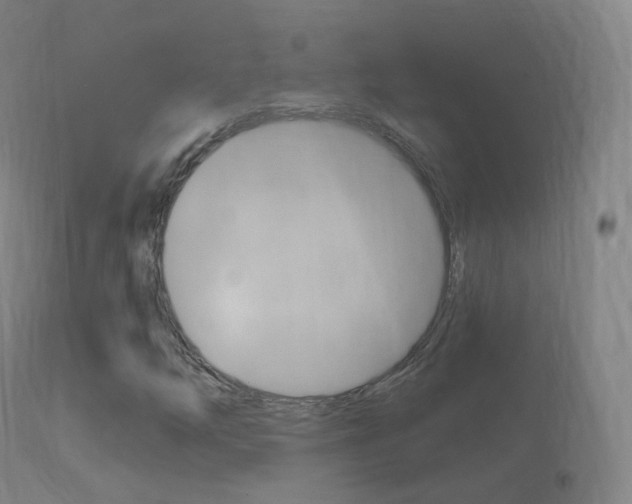 X0000114671254200910211001