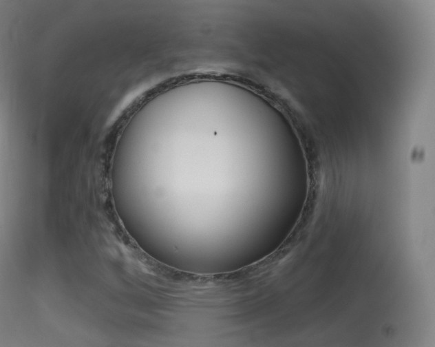 X0000114671256200910211001