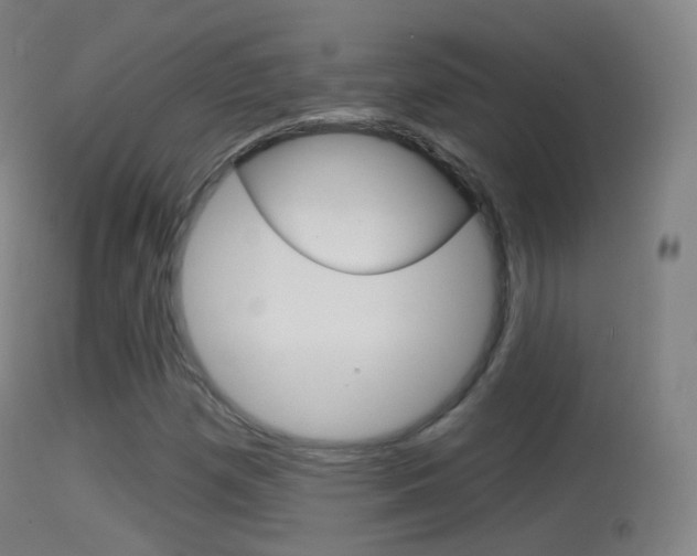 X0000114671257200910211001