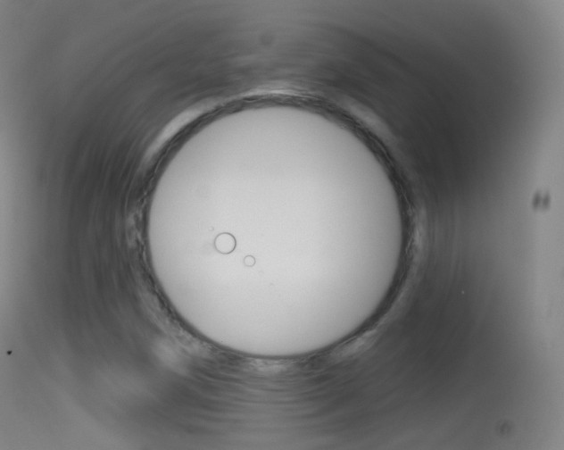 X0000114671258200910211001