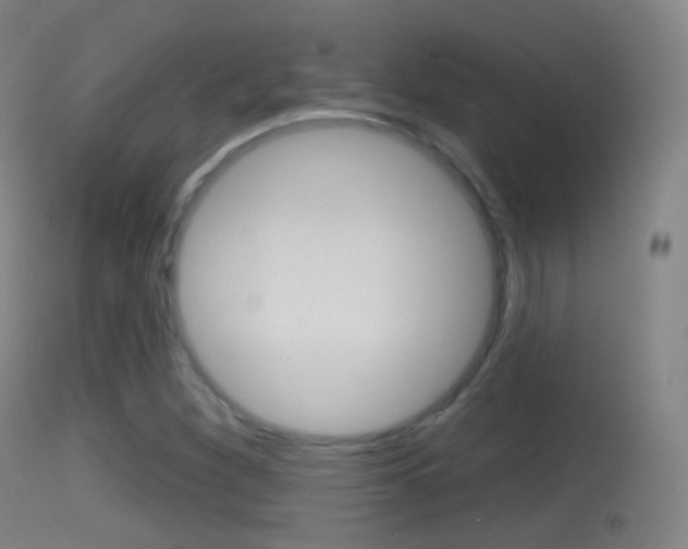 X0000114671260200910211001