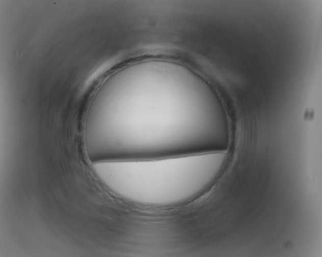 X0000114671261200910211001