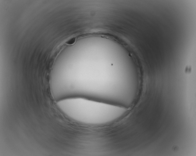 X0000114671265200910211001