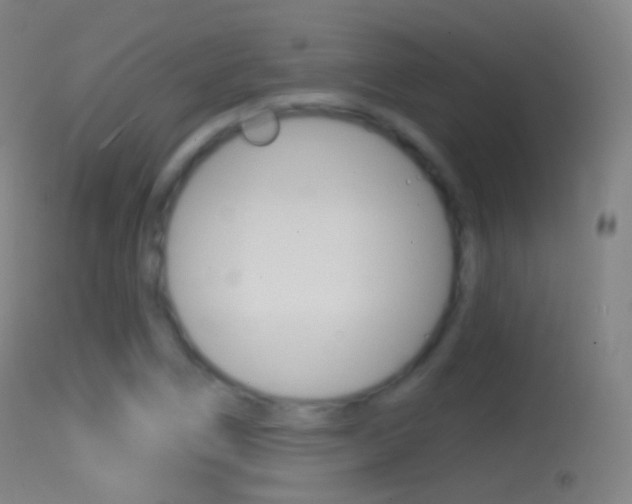 X0000114671266200910211001