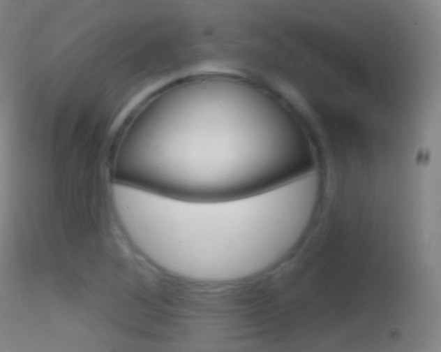 X0000114671268200910211001