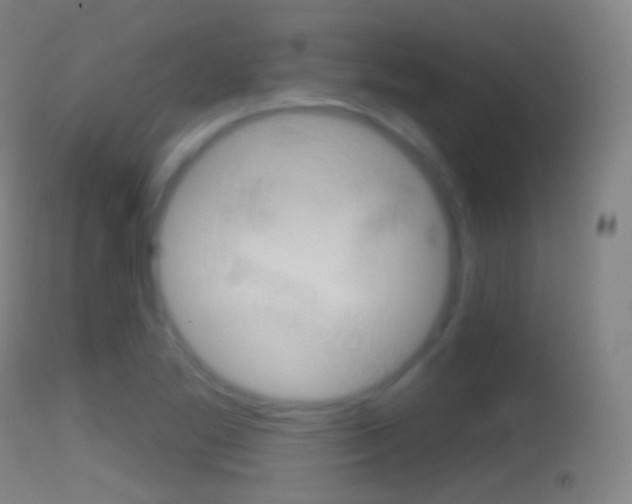 X0000114671269200910211001