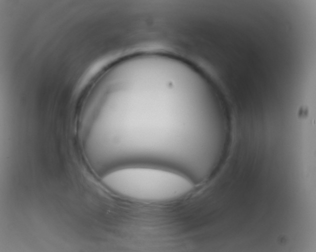 X0000114671270200910211001