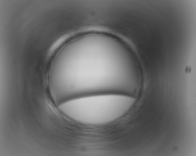 X0000114671271200910211001