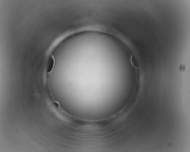 X0000114671272200910211001