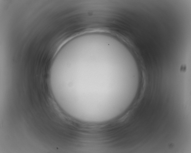 X0000114671273200910211001
