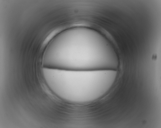 X0000114671274200910211001