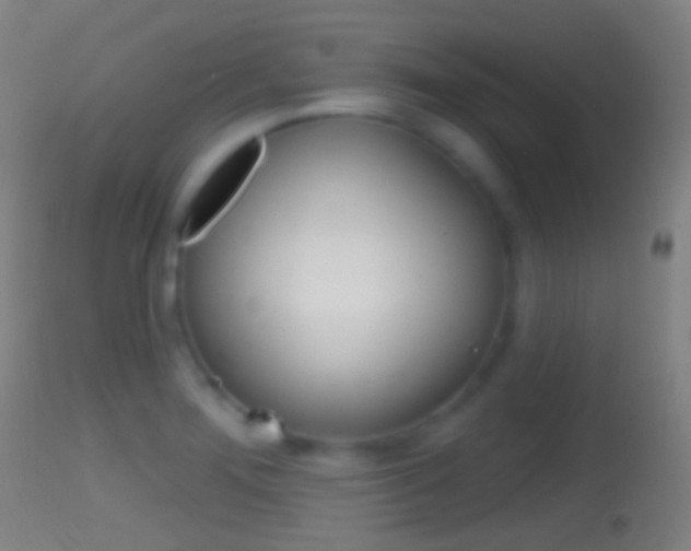 X0000114671276200910211001