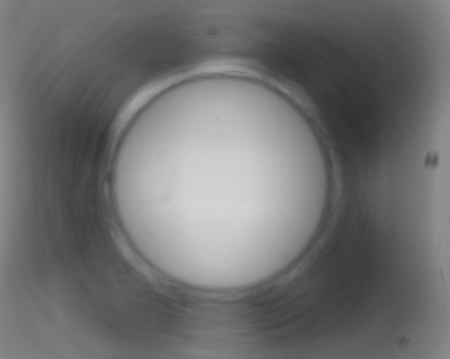 X0000114671277200910211001