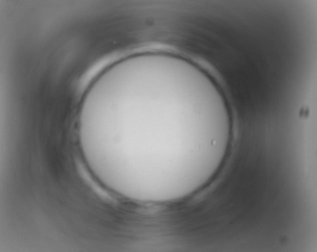 X0000114671278200910211001