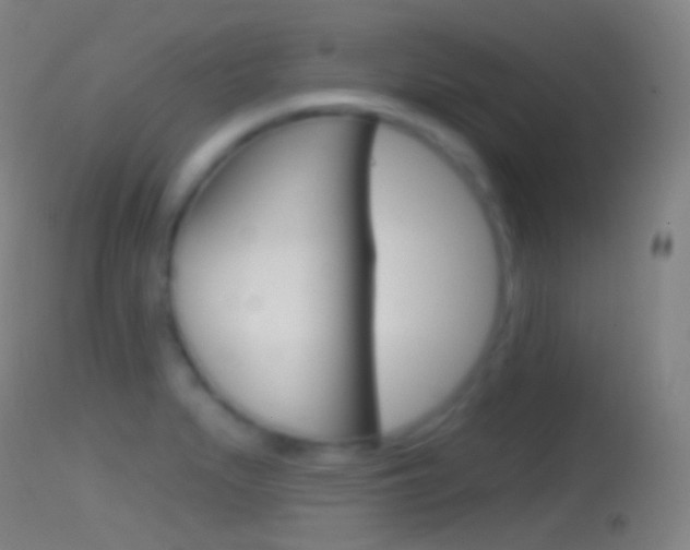X0000114671279200910211001